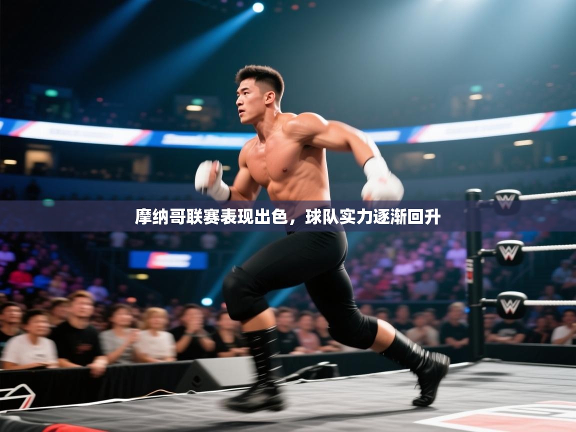 摩纳哥联赛表现出色，球队实力逐渐回升  第2张